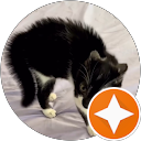 Profilbild von „Nocey Fang“
