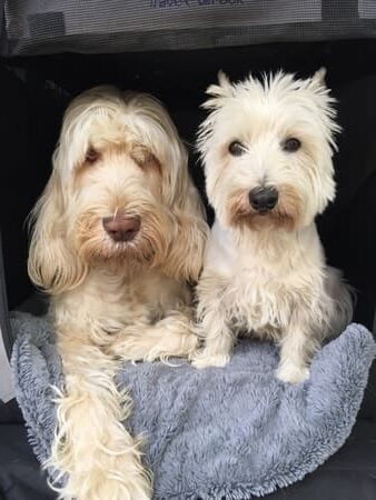 Waumobil-Moenchengladbach