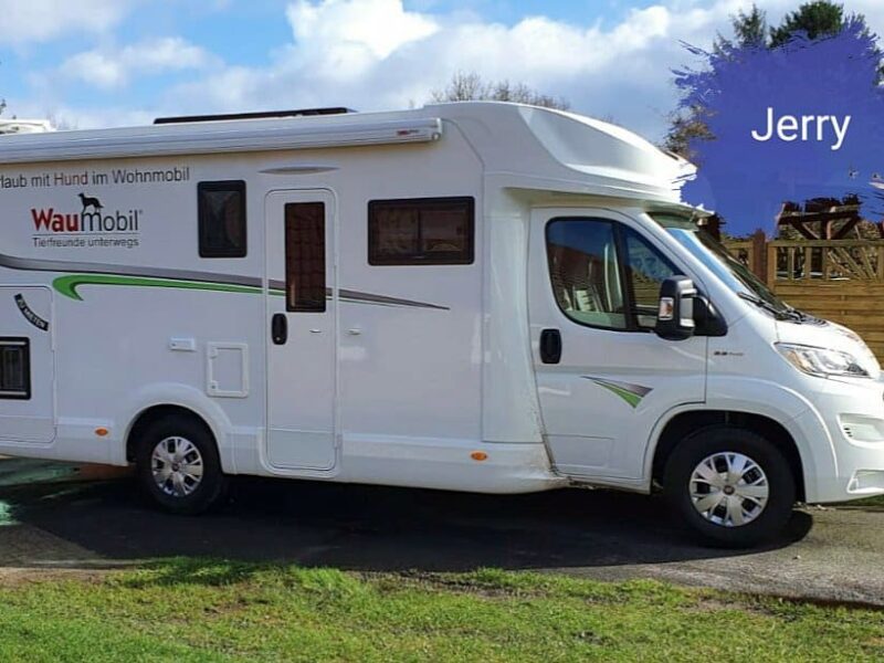 Waumobil Mietstation Papenburg Wohnmobil mieten mit Hund