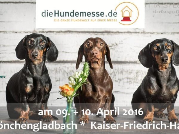 Plakat Hundemesse Mönchengladbach