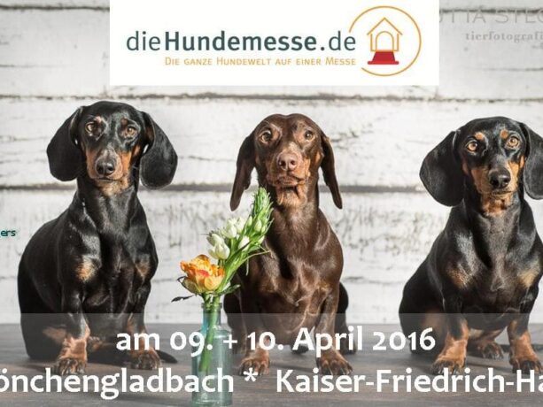 Plakat Hundemesse Mönchengladbach