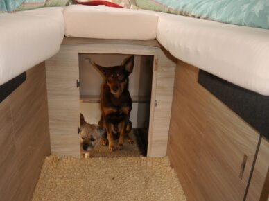 {{brizy_dc_image_alt imageSrc=