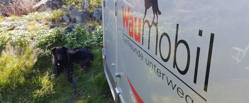 Waumobil_Hund_Urlaubsreise_3