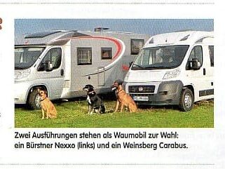 Artikel Wohnmobilreisen mit Hund