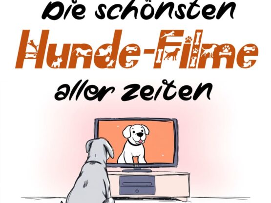 hundefilme Die schönsten Hundefilme aller Zeiten