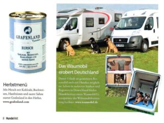 Artikel in der Hundewelt