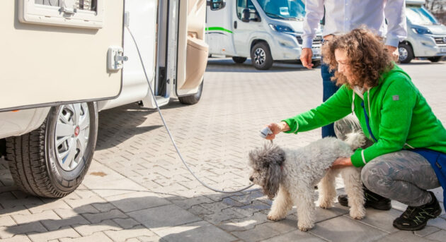 Hundedusche Waumobil