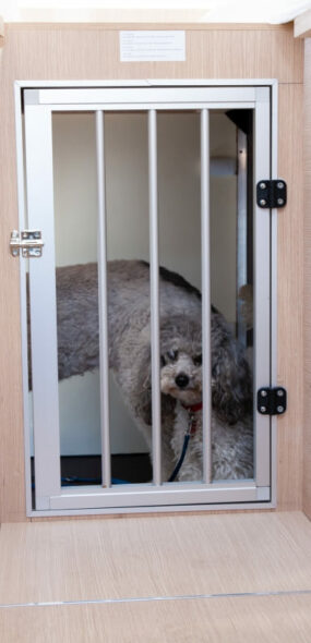 Hundedurchgang zu hundegerecht umgebauten Garage