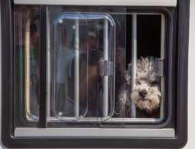 Fenster in Heckgarage Wohnmobil