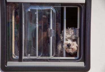 Fenster in Heckgarage Wohnmobil {{brizy_dc_image_alt imageSrc=